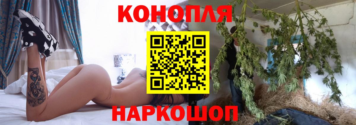 Бошки Шишки план Златоуст